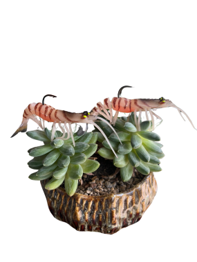 Mồi Giả Tôm